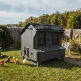 4×6 No-Frill Quaker Coop